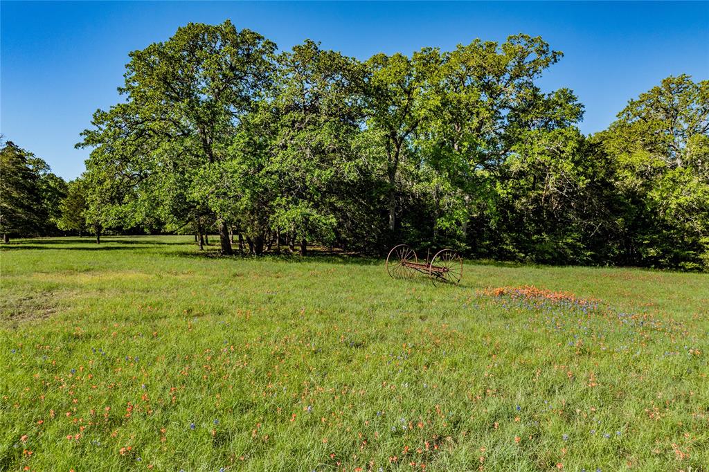 301 Huenefeld Lane, Round Top, Texas image 27