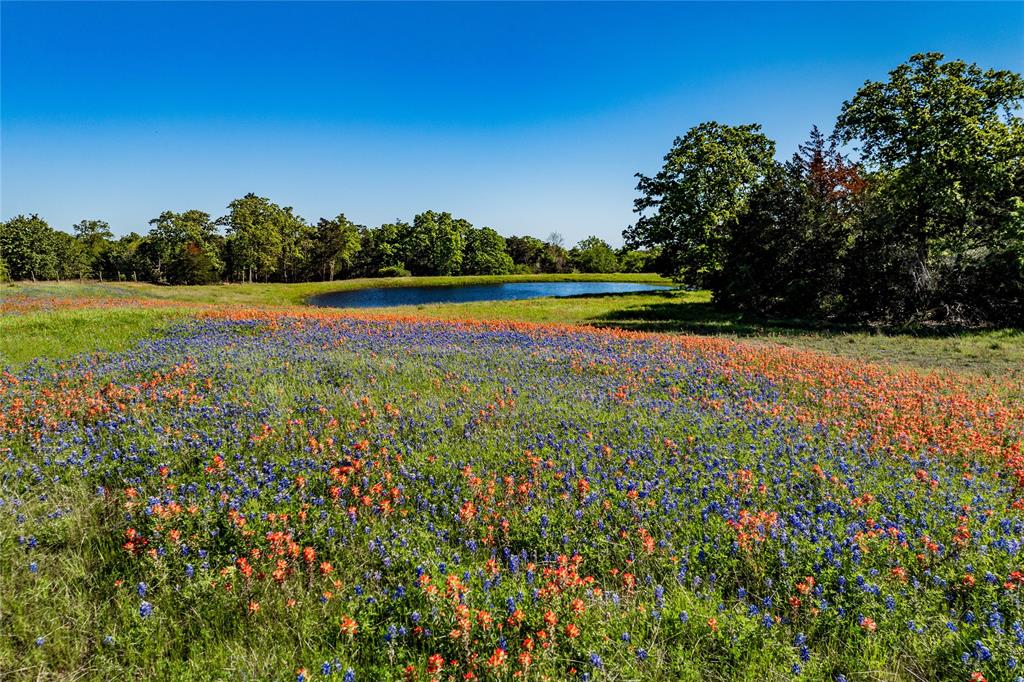 301 Huenefeld Lane, Round Top, Texas image 2