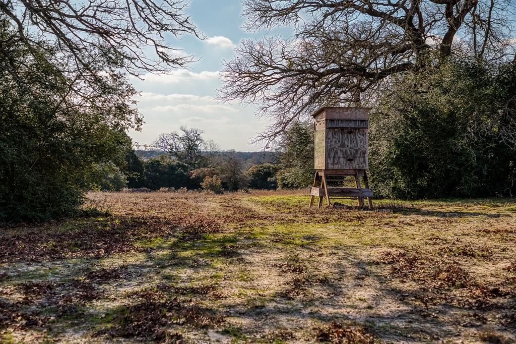 384 Paint Creek Road