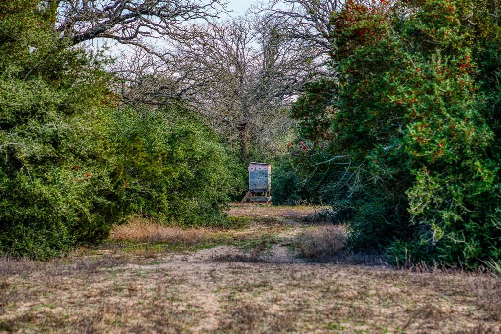384 Paint Creek Road