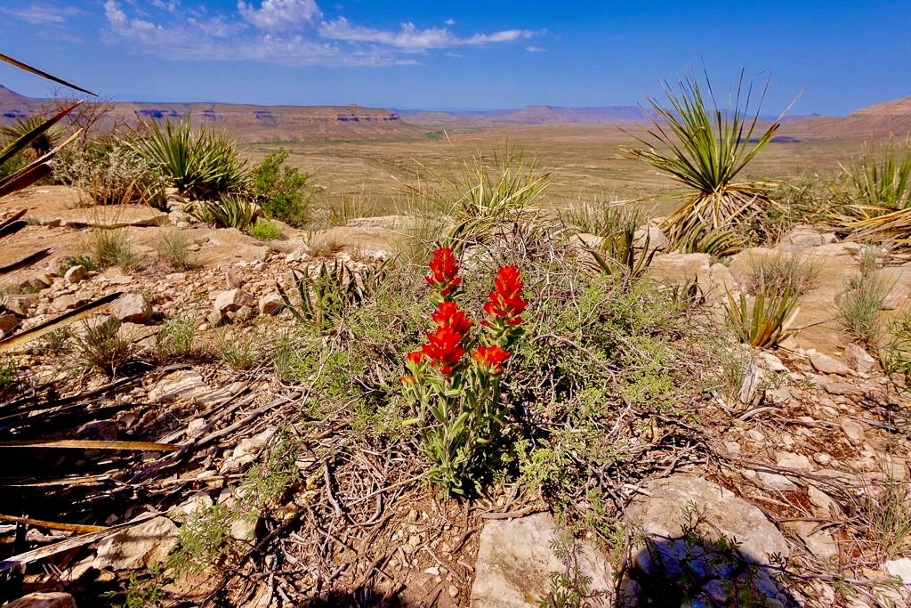 TBD Tesnus, Marathon, Texas image 14