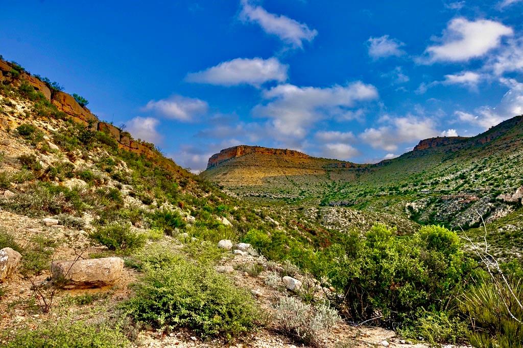 TBD Tesnus, Marathon, Texas image 1