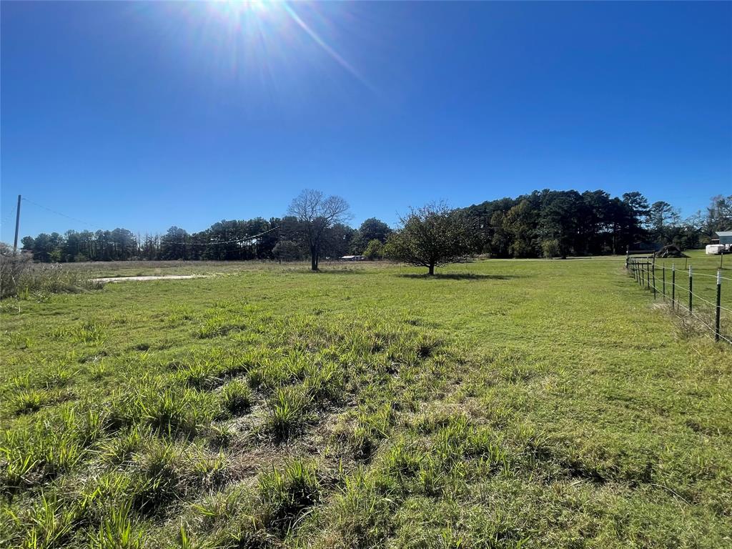 195 River Point Way, Trinity, Texas image 9