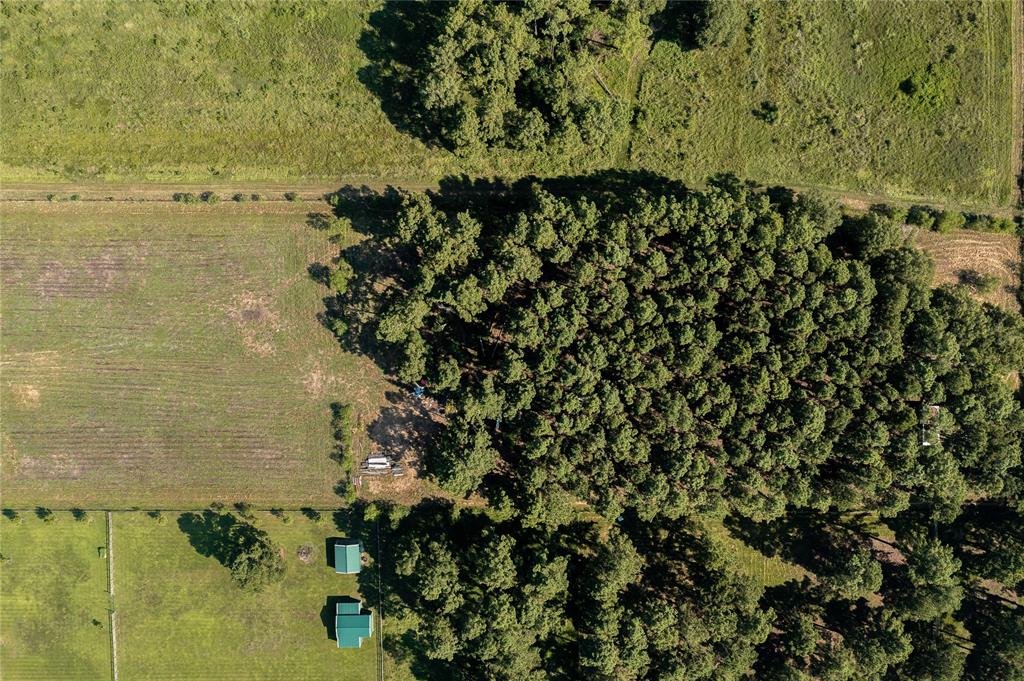 0000 Krenek Road, Crosby, Texas image 13