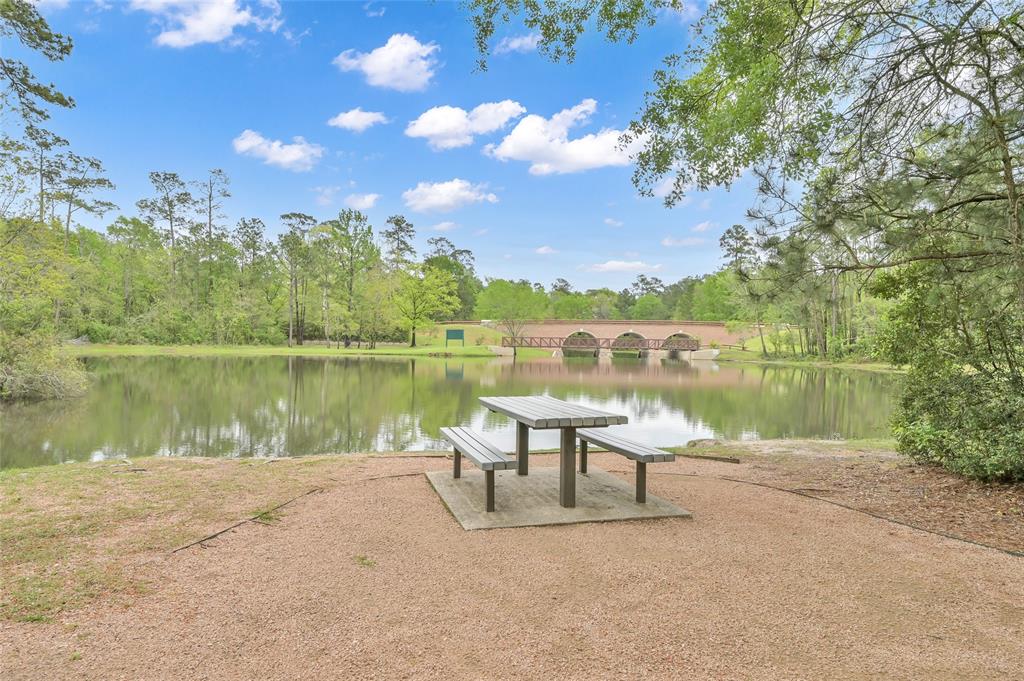 139 Little Mill Place, The Woodlands, Texas image 43