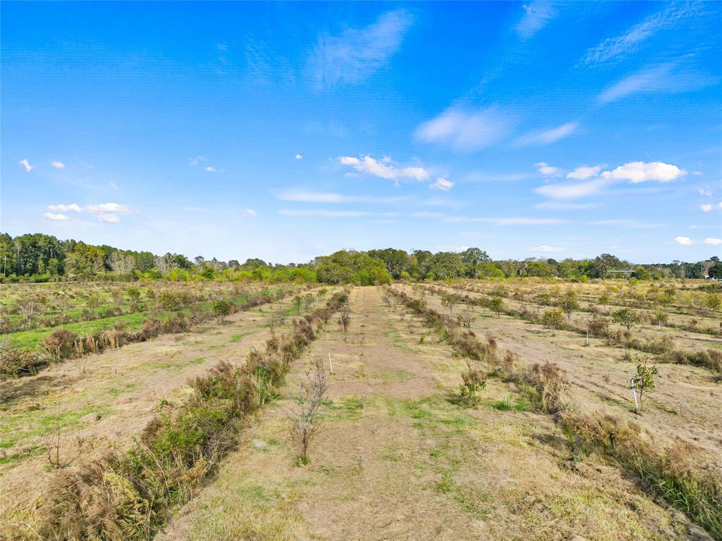 TBD Highway 94, Trinity, Texas image 4