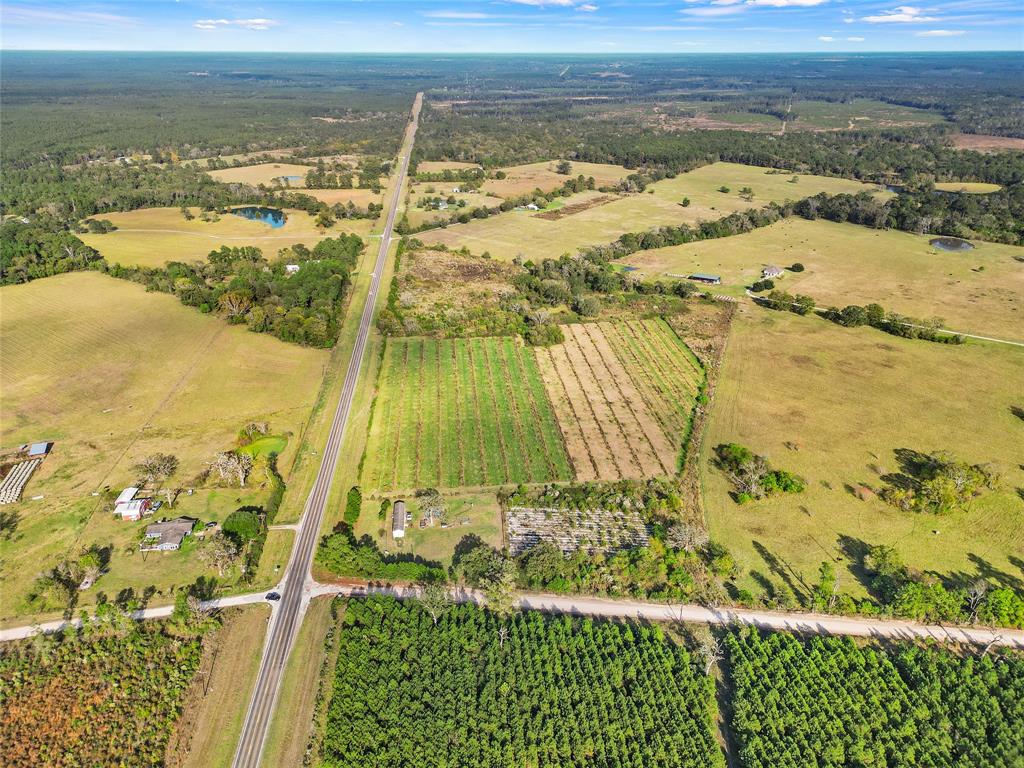 TBD Highway 94, Trinity, Texas image 8