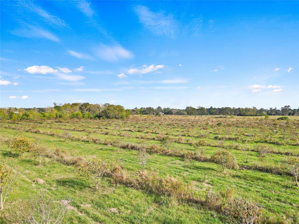 TBD Highway 94, Trinity, Texas image 5