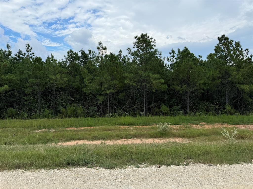 16246 Ridge Oak Road, Willis, Texas image 9