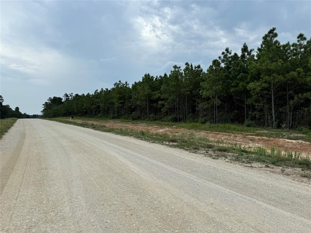 16246 Ridge Oak Road, Willis, Texas image 8