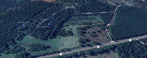 Photo of TBD Davis Lot 29, Livingston, TX 77351 (MLS # 77962548)