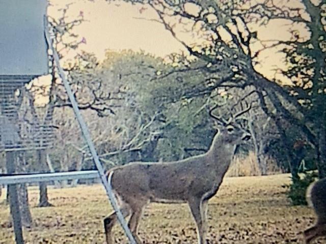 1874 County Road 151 Rd, Columbus, Texas image 48