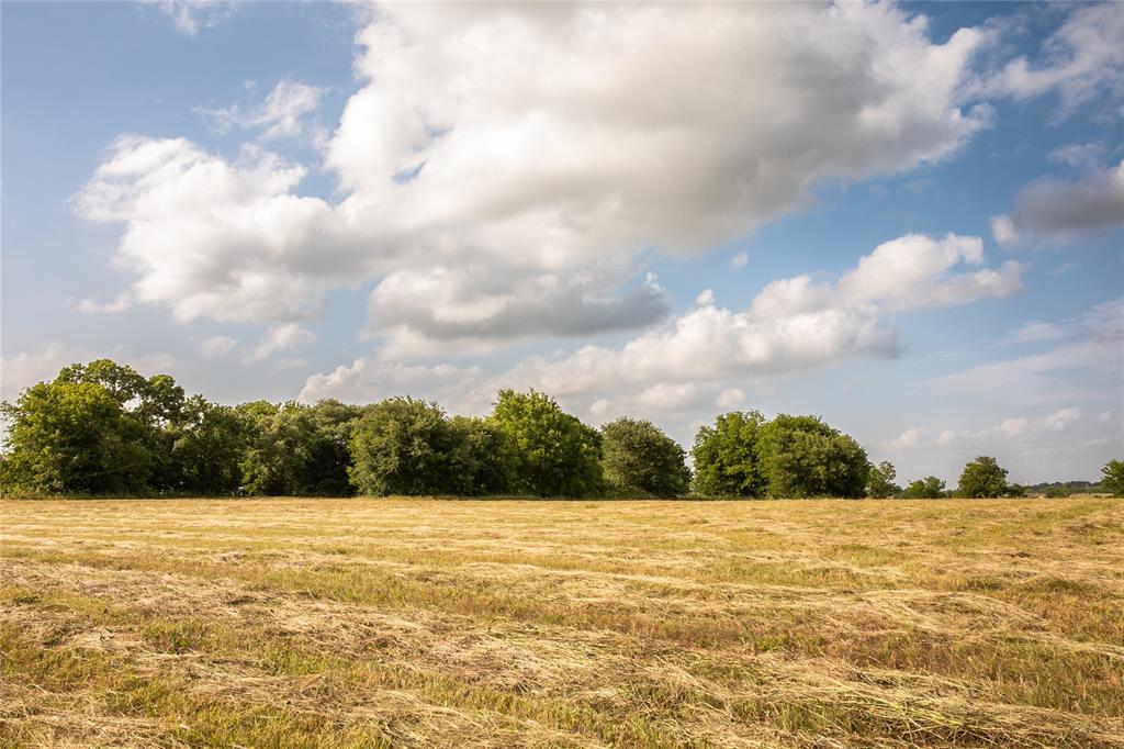 2300 Mcnelly Lane, Burton, Texas image 15