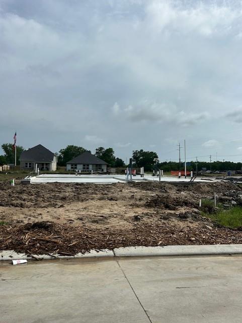 205 Orchard Laurel Drive, Alvin, Texas image 6