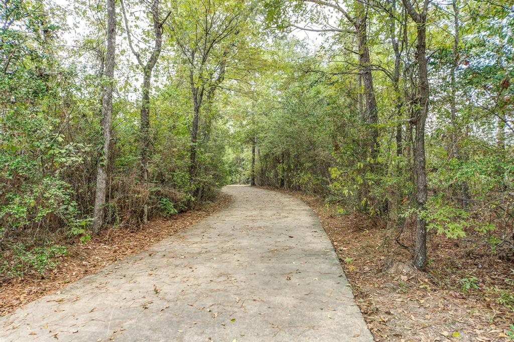 1904 Scarlet Yaupon Way, Conroe, Texas image 17