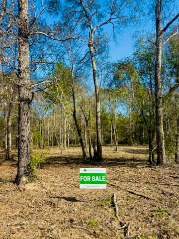 7753 Timber Switch Road