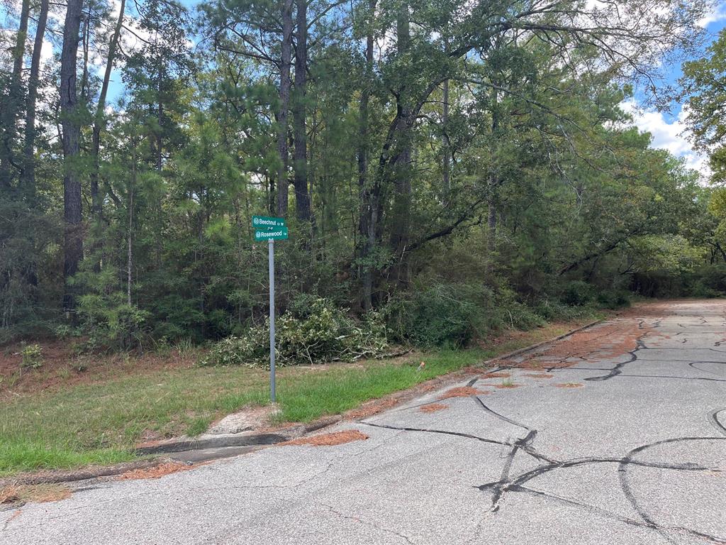 Beechnut Court, Huntsville, Texas image 2