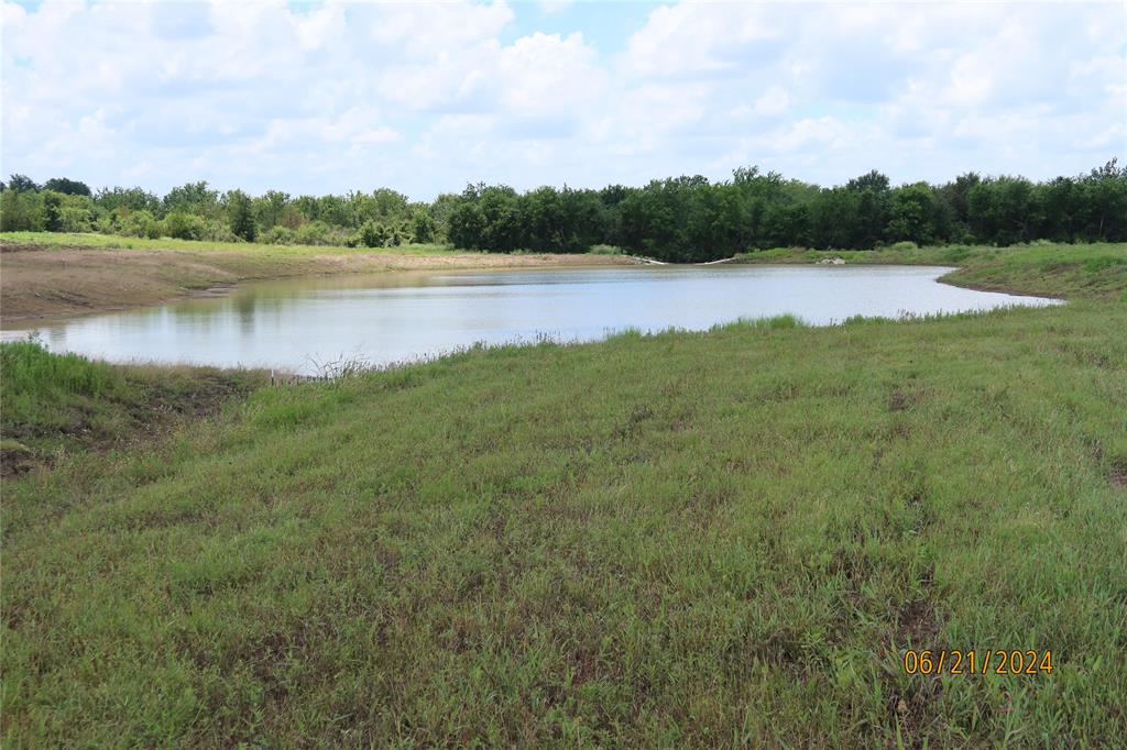 Lot 8 Sunflower, Chappell Hill, Texas image 2