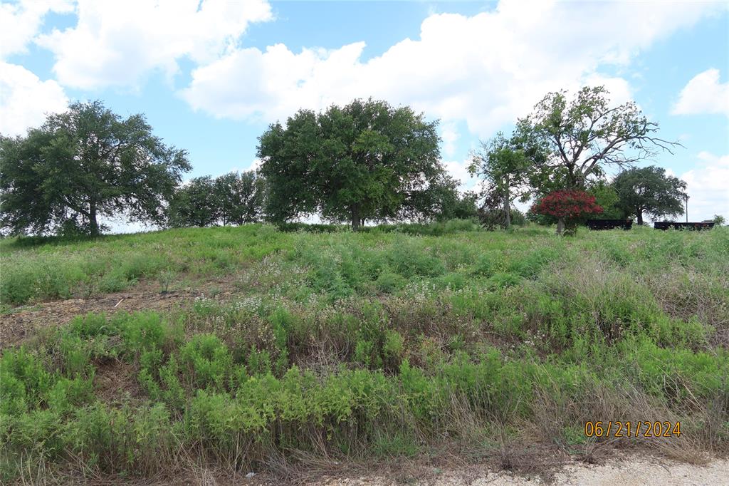 Lot 8 Sunflower, Chappell Hill, Texas image 4