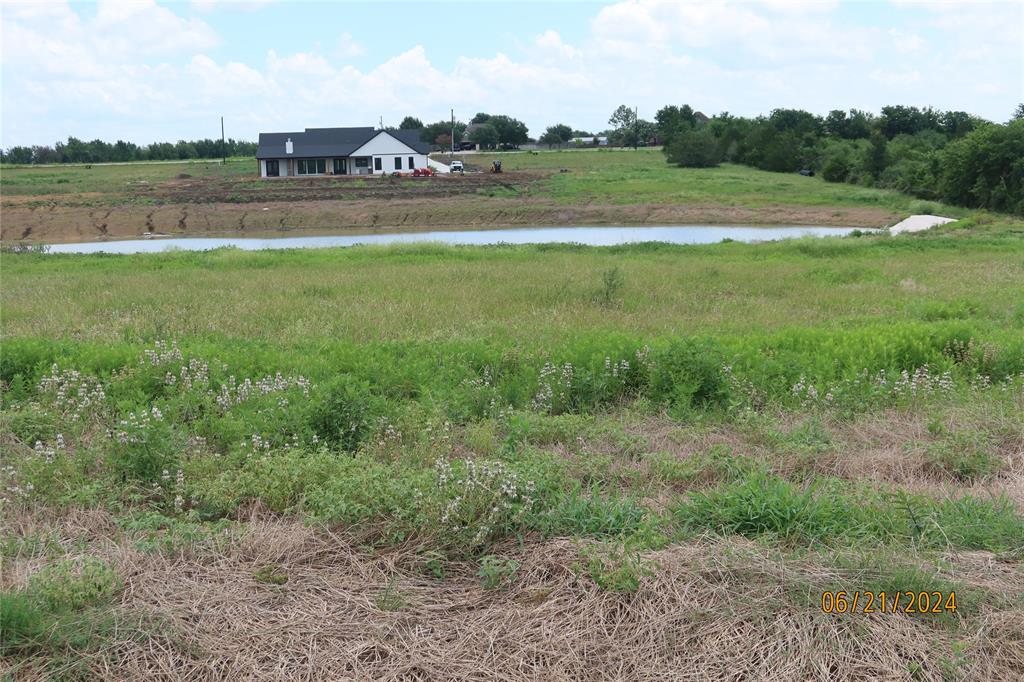 Lot 8 Sunflower, Chappell Hill, Texas image 3