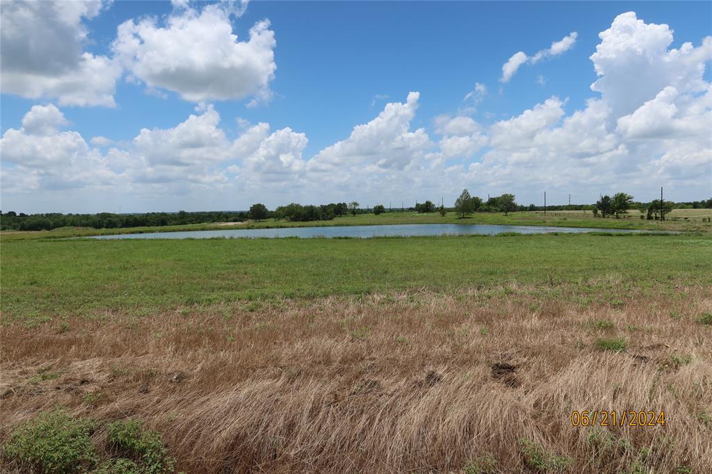 Lot 8 Sunflower, Chappell Hill, Texas image 6