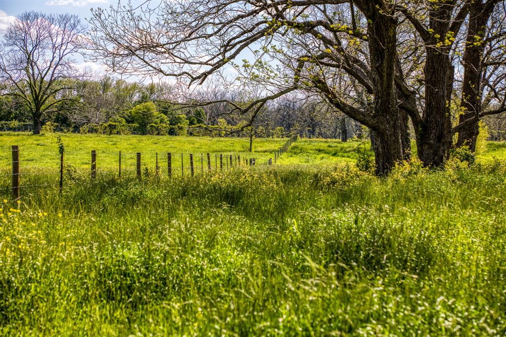 42493 Fm 1458 A Road, Pattison, Texas image 20