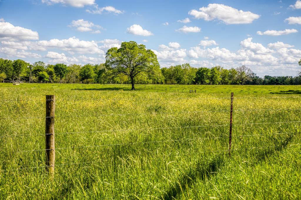 42493 Fm 1458 A Road, Pattison, Texas image 14