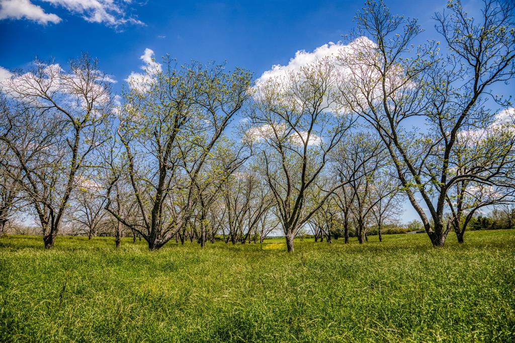 42493 Fm 1458 A Road, Pattison, Texas image 10