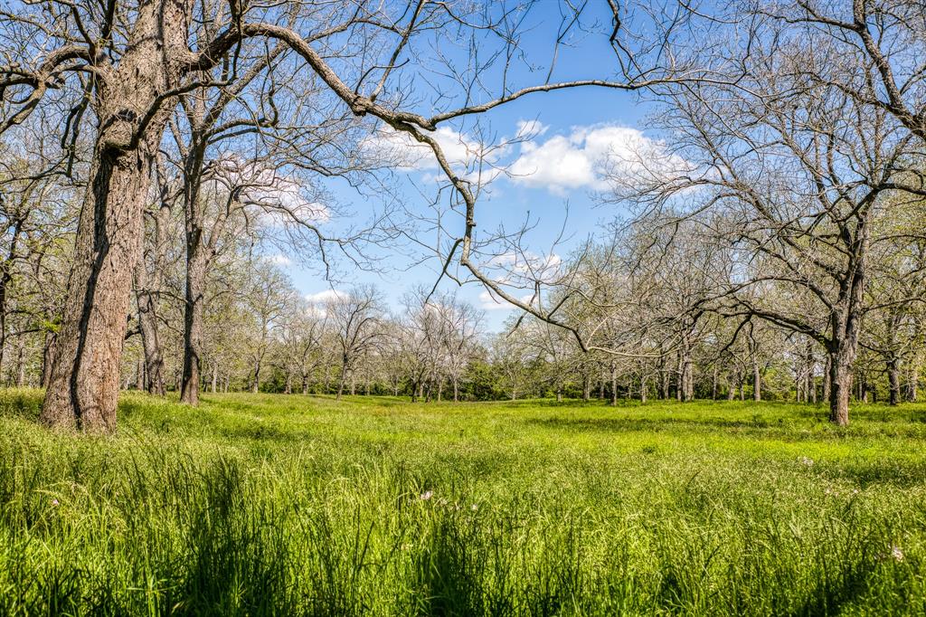 42493 Fm 1458 A Road, Pattison, Texas image 13