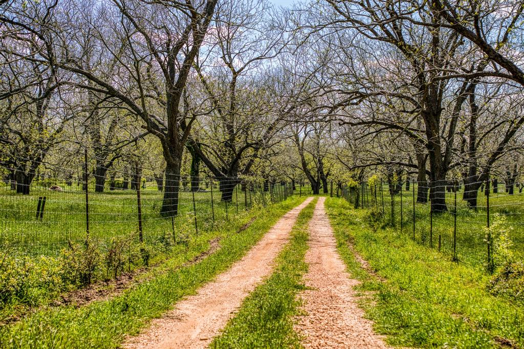 42493 Fm 1458 A Road, Pattison, Texas image 12