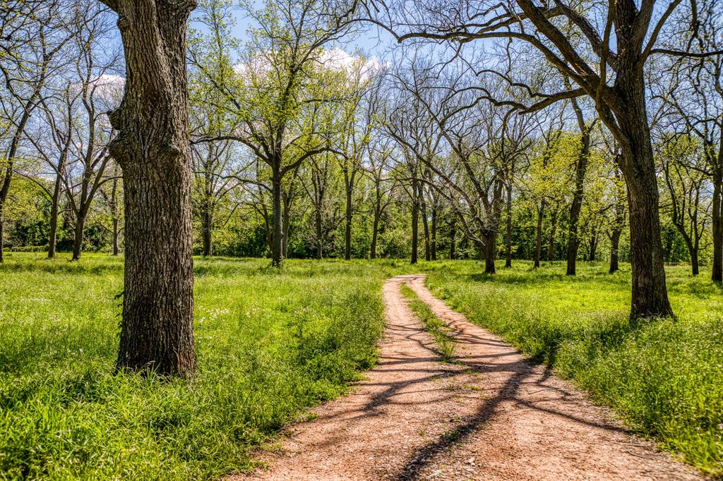 42493 Fm 1458 A Road, Pattison, Texas image 18