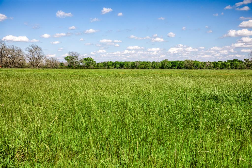 42493 Fm 1458 A Road, Pattison, Texas image 44