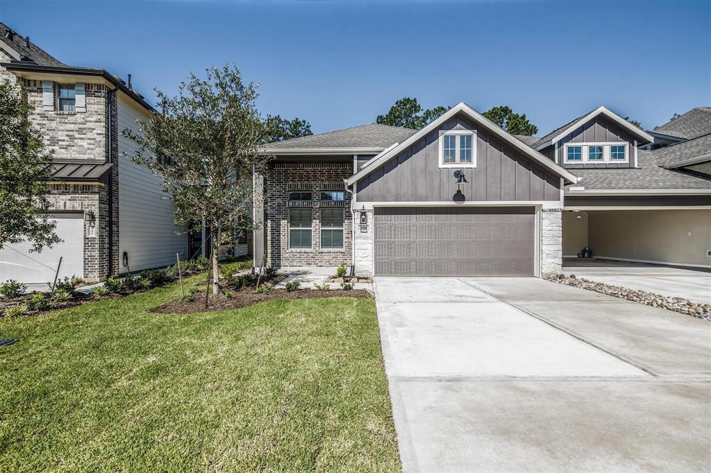 235 S Spotted Fern Drive