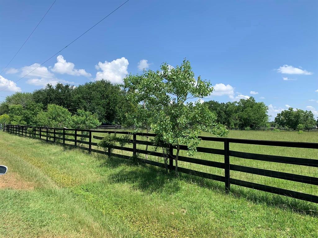 29511 Marti Road, Katy, Texas image 9