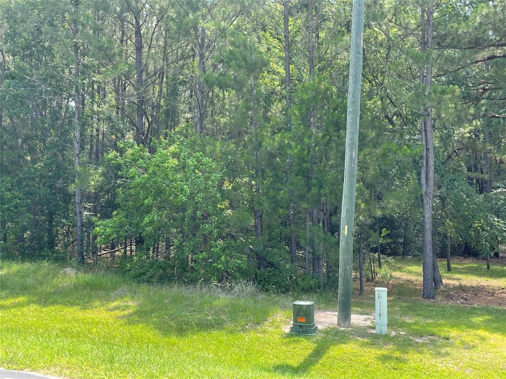 17729 Equestrian Drive, Waller, Texas image 4