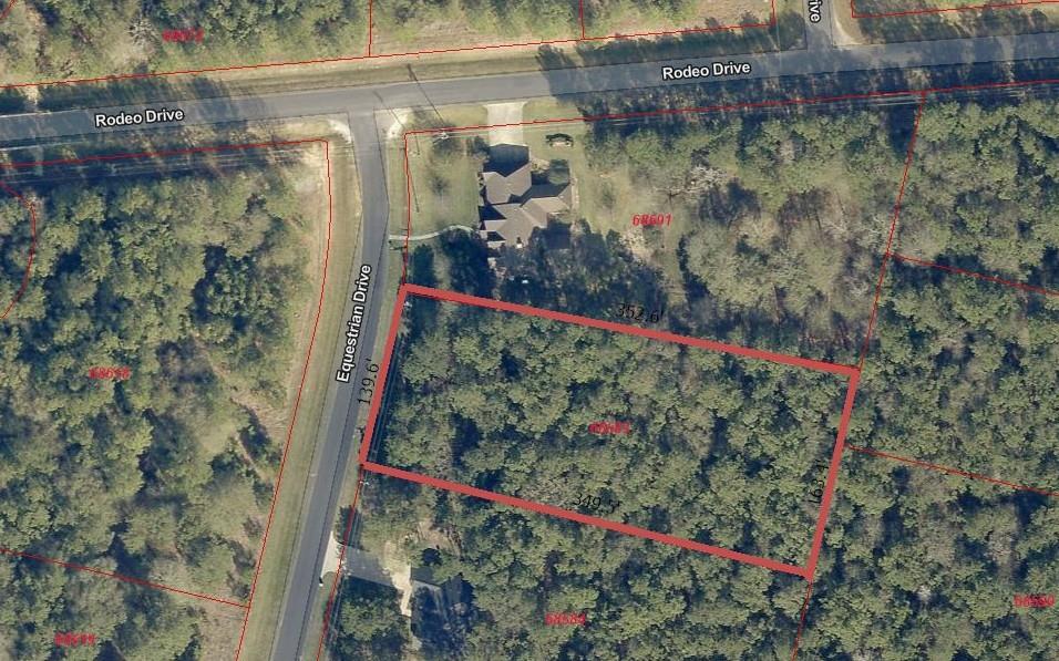 17729 Equestrian Drive, Waller, Texas image 2
