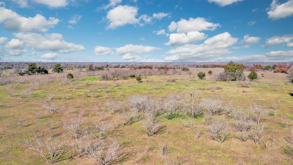 450 Lcr 704, Kosse, Texas image 9