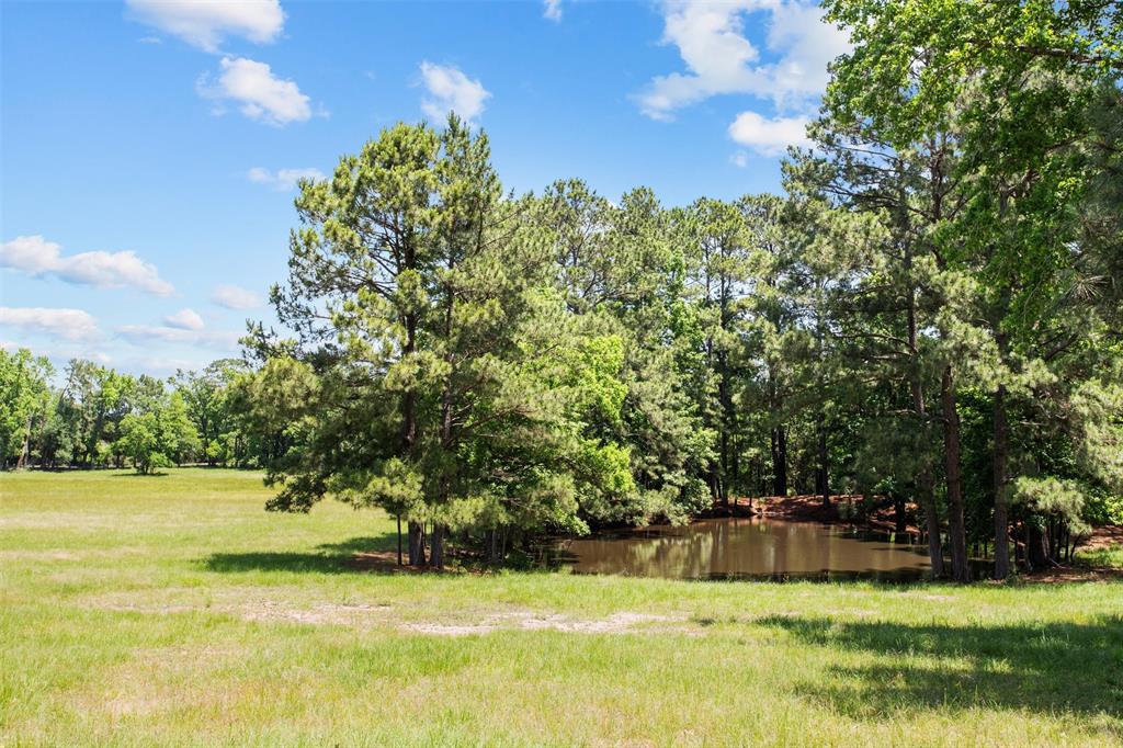 278 Paaske Road, Trinity, Texas image 44