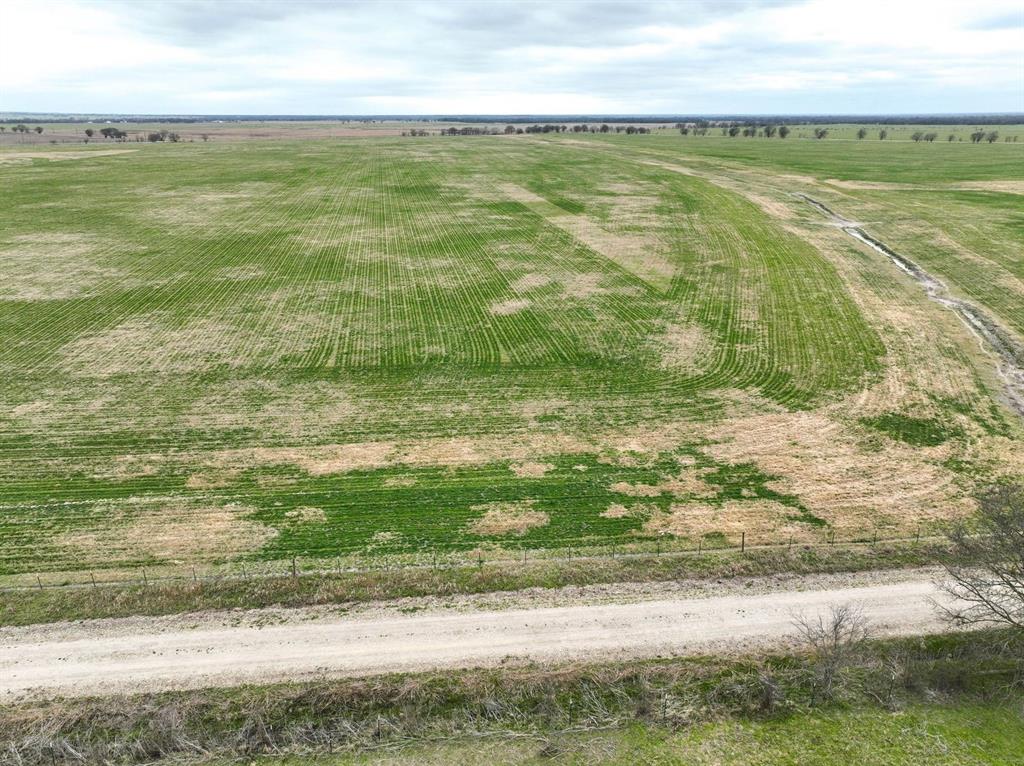 TR 16 County Road  129, Marlin, Texas image 3