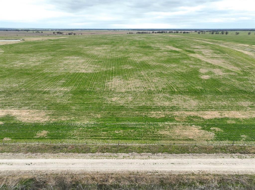 TR 16 County Road  129, Marlin, Texas image 9