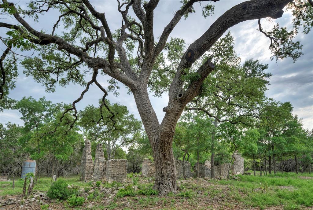 TBD Jim Bridger Drive, Austin, Texas image 18