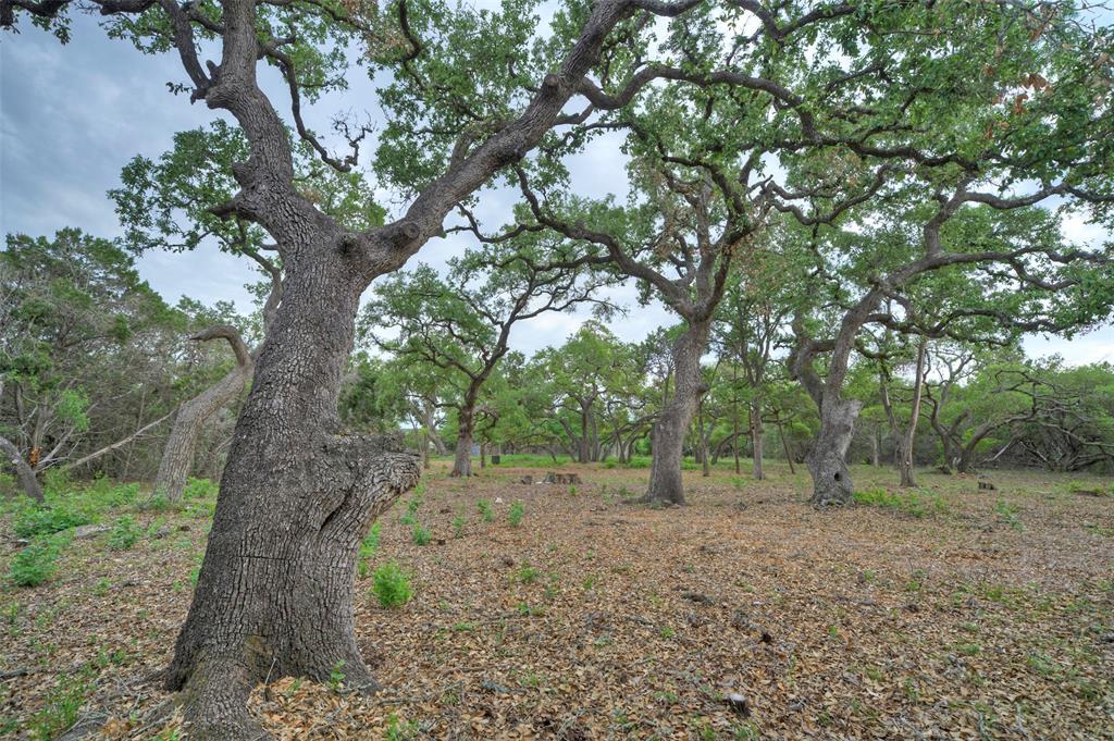 TBD Jim Bridger Drive, Austin, Texas image 33