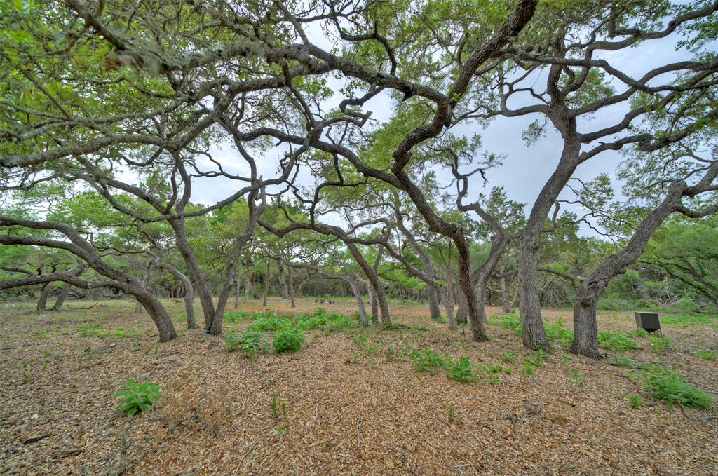 TBD Jim Bridger Drive, Austin, Texas image 30