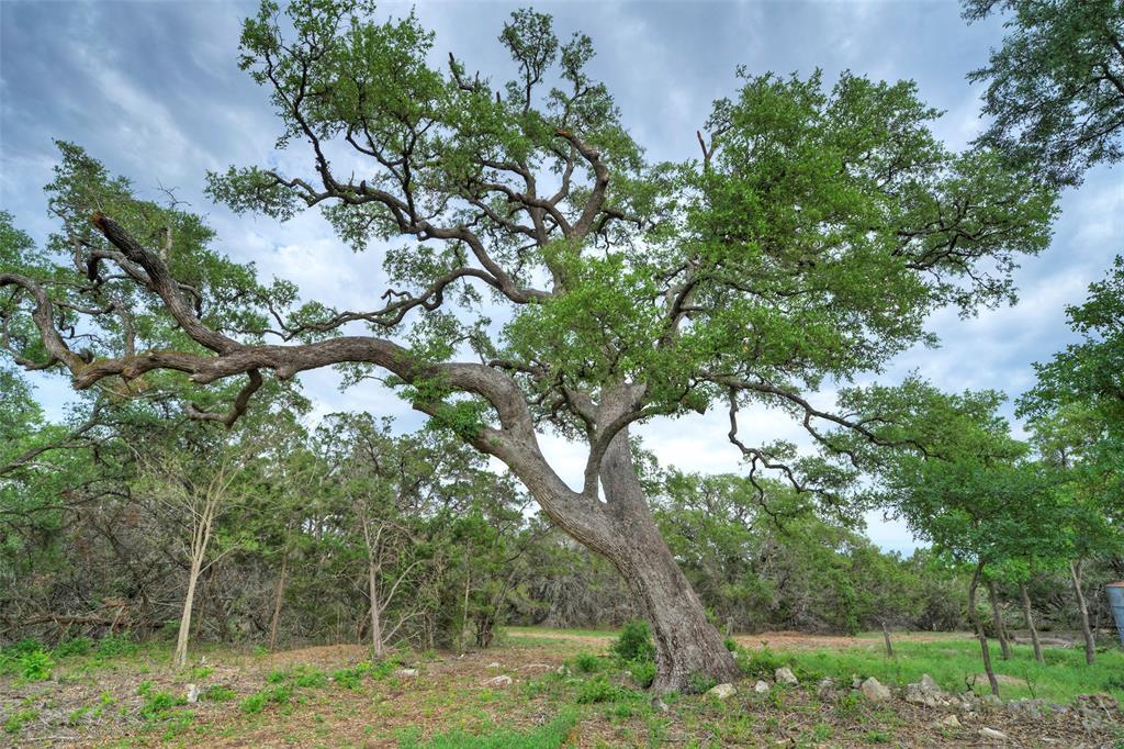 TBD Jim Bridger Drive, Austin, Texas image 37