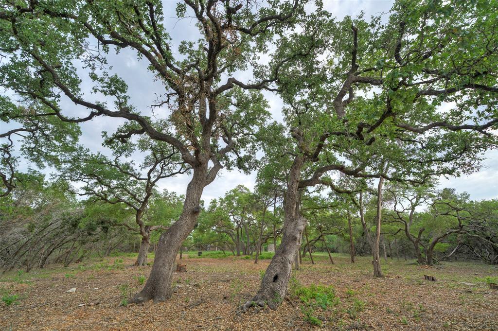 TBD Jim Bridger Drive, Austin, Texas image 35