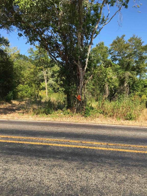 State Highway 294, Elkhart, Texas image 3