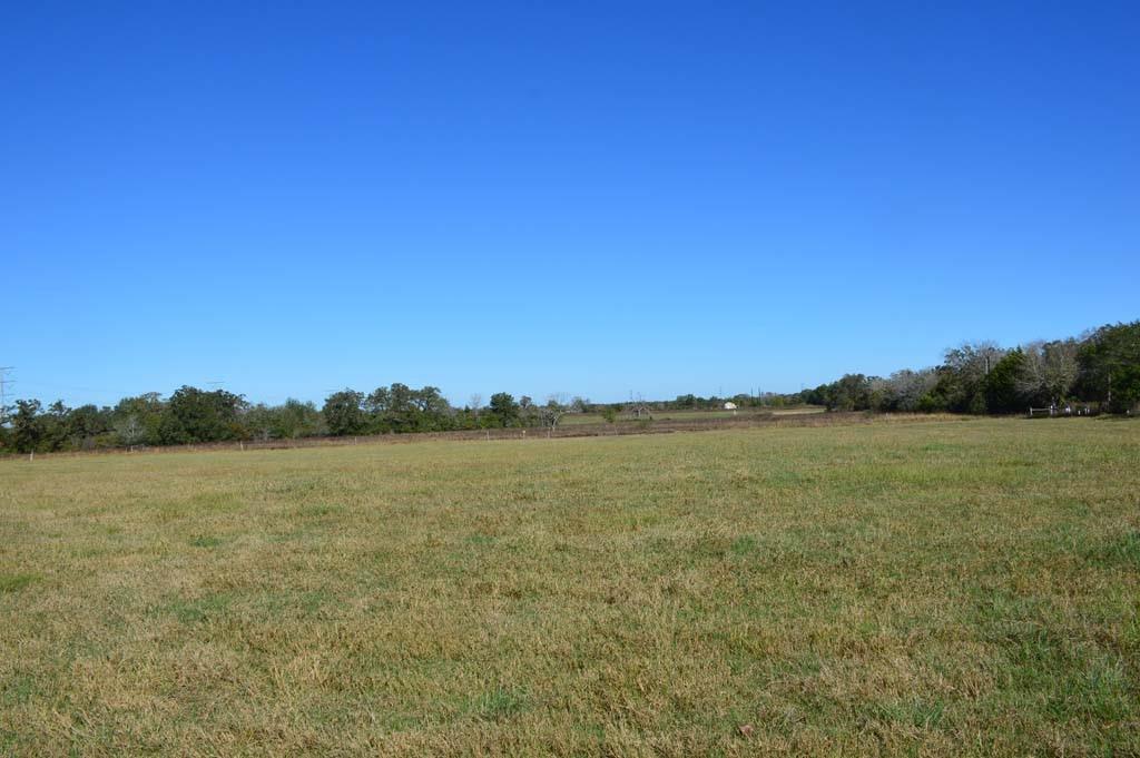 19097 County Road 124, Bedias, Texas image 40