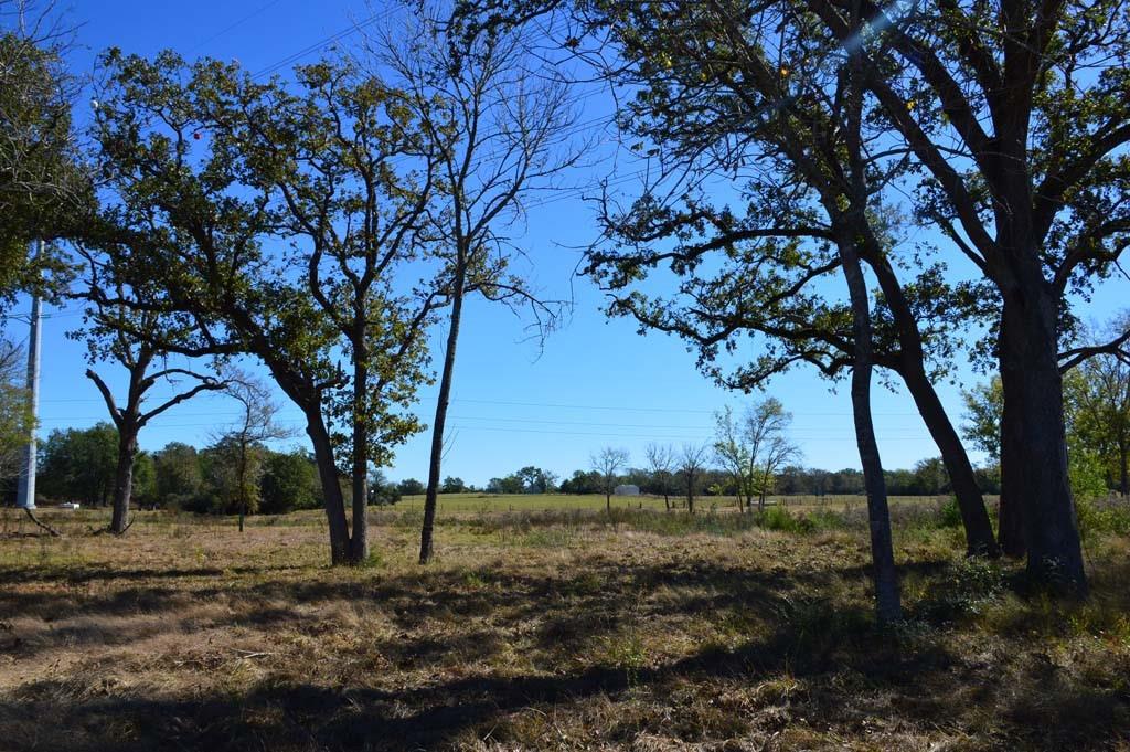 19097 County Road 124, Bedias, Texas image 48