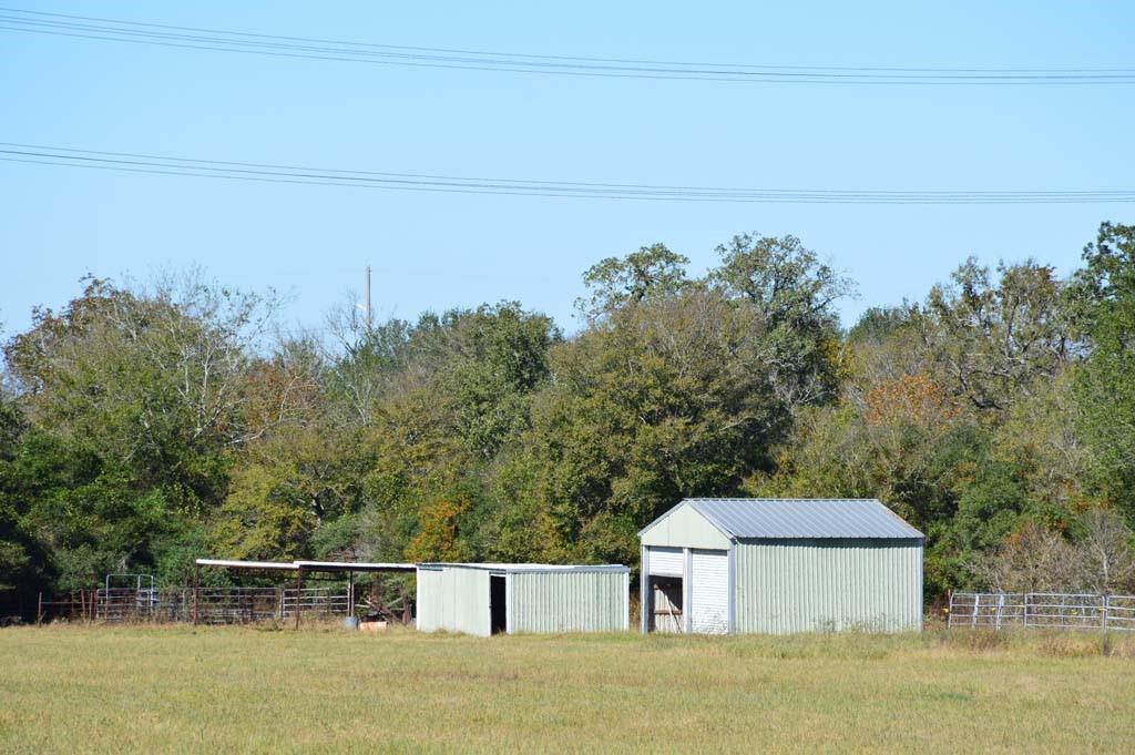 19097 County Road 124, Bedias, Texas image 30