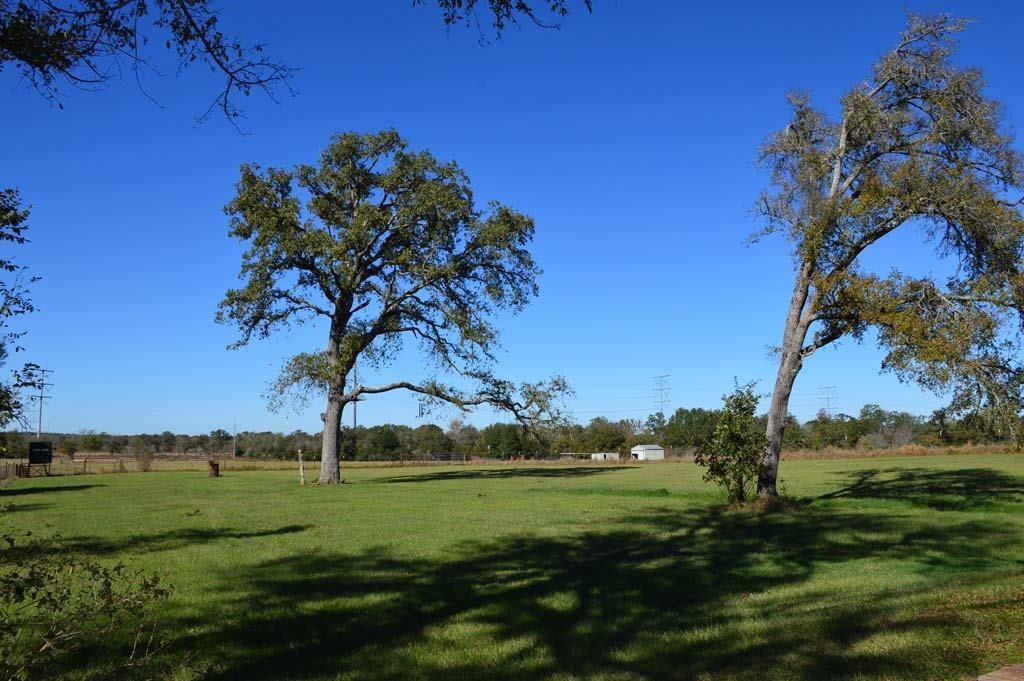 19097 County Road 124, Bedias, Texas image 26